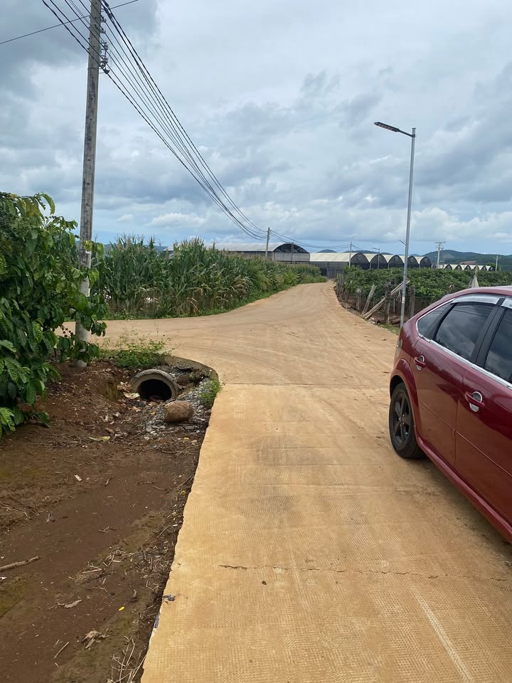 Đất chính chủ Phú Hội, Đức Trọng 99m² giá 1.2 tỷ - Tiềm năng đầu tư lớn!