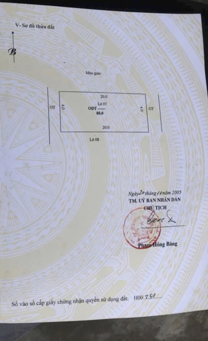 Đất Vũ Thư 80m² giá 1.3 tỷ - Lô đất 2 mặt ngõ đẹp