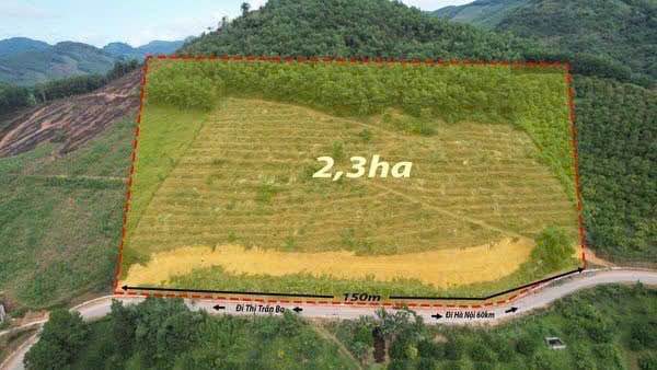 Đất Farm Kim Lập 3,5ha giá thỏa thuận - Tiềm năng phát triển lớn!