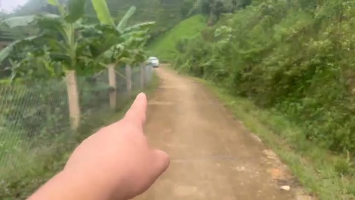 Lô đất 5000m² tại Minh Đài, Phú Thọ - Giá chỉ vài trăm triệu, cơ hội đầu tư tuyệt vời!