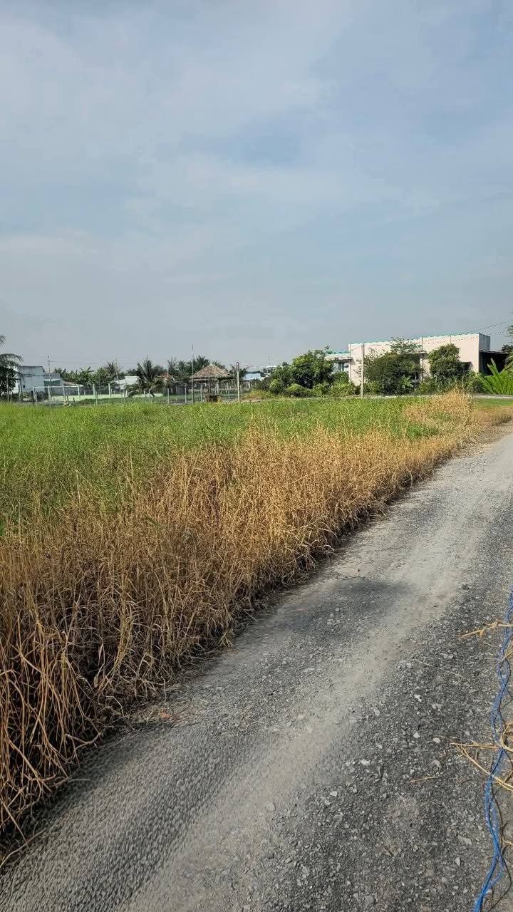 Đất vườn 900m² xã Phước Hậu, Cần Giuộc giá 2.7 tỷ - Sổ hồng riêng, đường xe hơi hai mặt tiền!