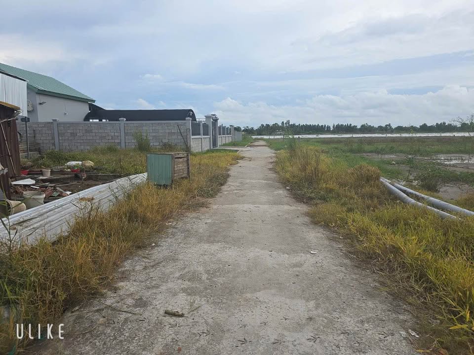 Đất nền Bùi Diện, Rạch Giá 150m² giá 520 triệu - Cơ hội đầu tư hấp dẫn!