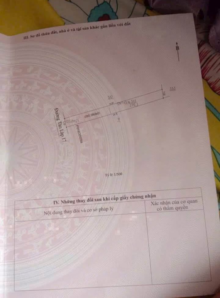 Đất nền Tân Lập Tân Uyên 270m² giá 1 tỷ - Đầu tư sinh lời ngay!