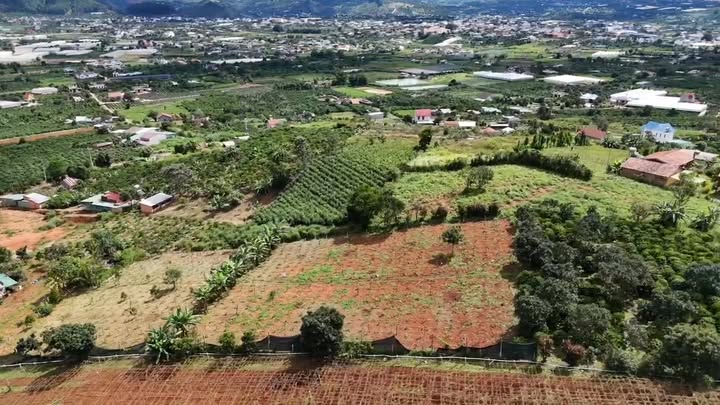 Đất nền xã Nam Ban Lâm Hà 8000m² giá 19 tỷ - Sổ đỏ chính chủ, đầu tư sinh lời!