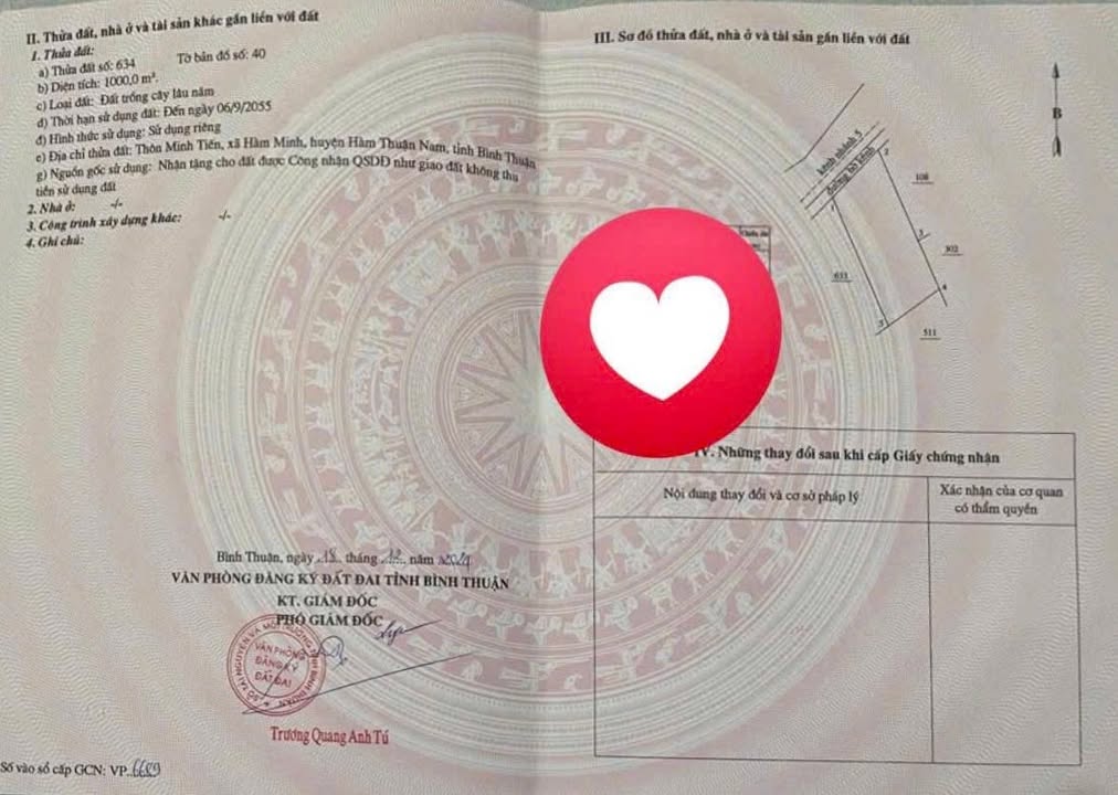 Đất mặt tiền nhựa 1000m² tại xã Hàm Minh, Bình Thuận - Giá chỉ 1.3 tỷ!