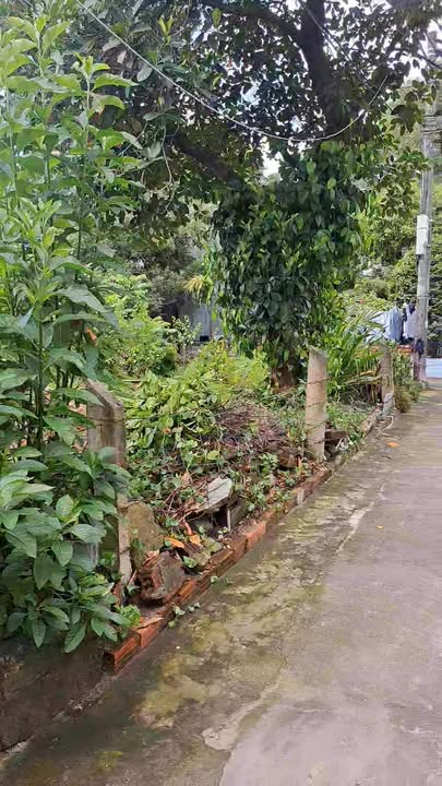 Đất nền Liên Chiểu Đà Nẵng 190m² - Đường ô tô vào tận nơi, giá thỏa thuận!