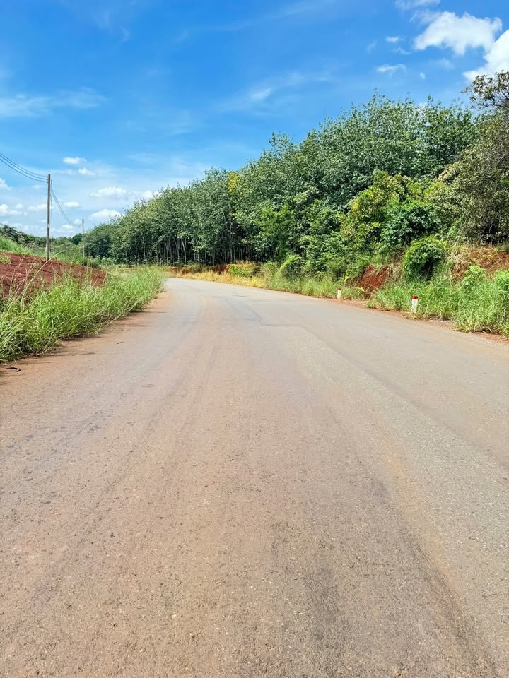 Đất nền Tân Phước Đồng Phú 300m² giá 300 triệu - Giao thông thuận lợi!