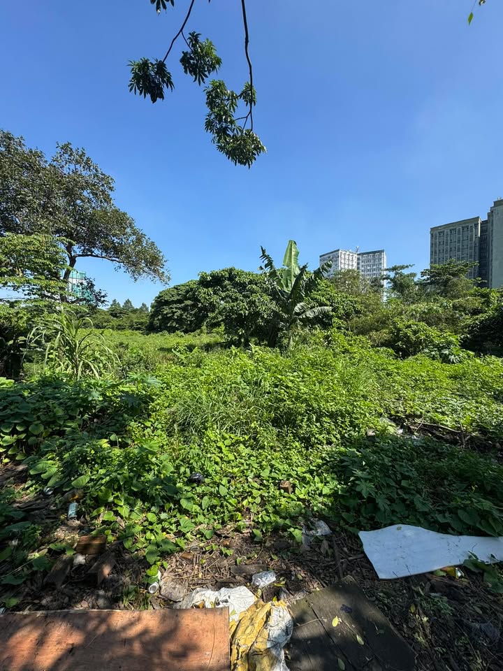 Đất nền QH Kho Bãi phường Linh Xuân, Thủ Đức 4000m² - Giá chỉ 24 tỷ!