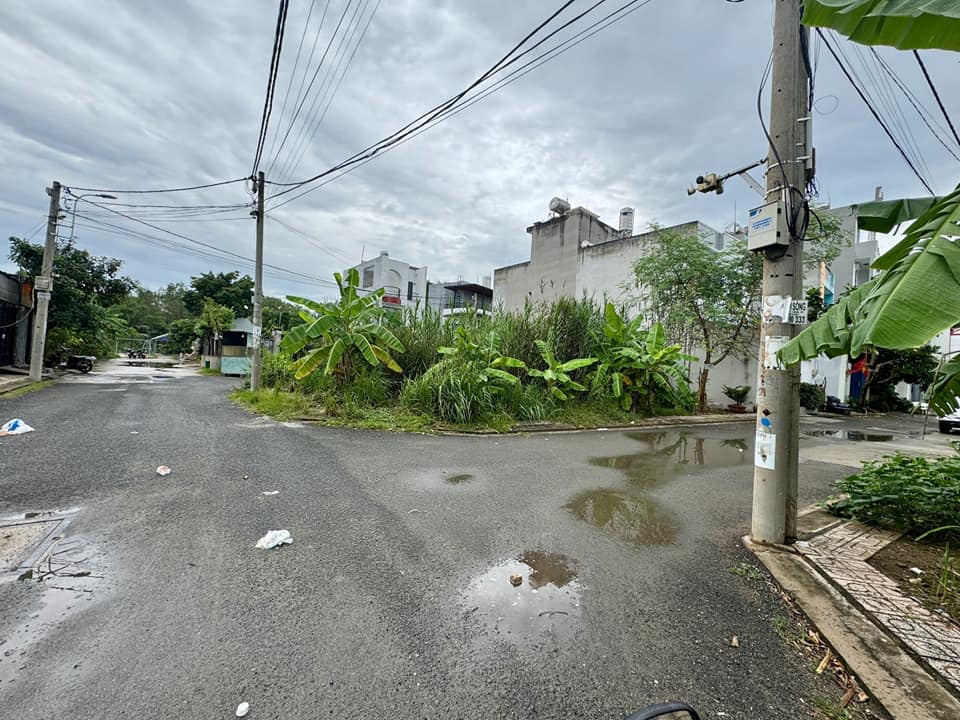 Đất nền đẹp tại Hẻm 47 Trường Lưu, Quận 9, 81m² chỉ 4.5 tỷ - Cần bán gấp!