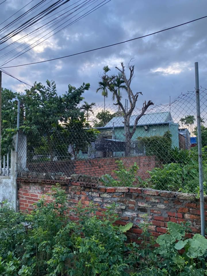 Nhà riêng Trường Thọ An Lão 167m² - Chính chủ bán nhanh, ở ngay!