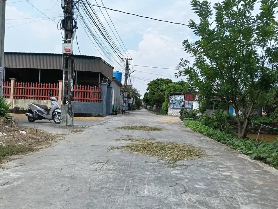 Đất nền Đông Cường Đông Hưng 150m² giá chỉ 800 triệu - Vị trí đắc địa, sẵn sàng đầu tư!