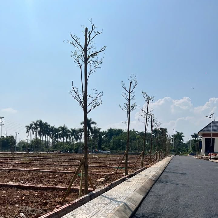 Đất nền Hòa Lạc 110m² giá 2.42 tỷ - Cơ hội đầu tư tuyệt vời!