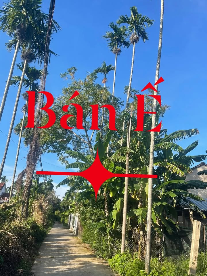 Đất nền Nghĩa Dõng 113m² giá chỉ 500 triệu - Cơ hội đầu tư tuyệt vời!