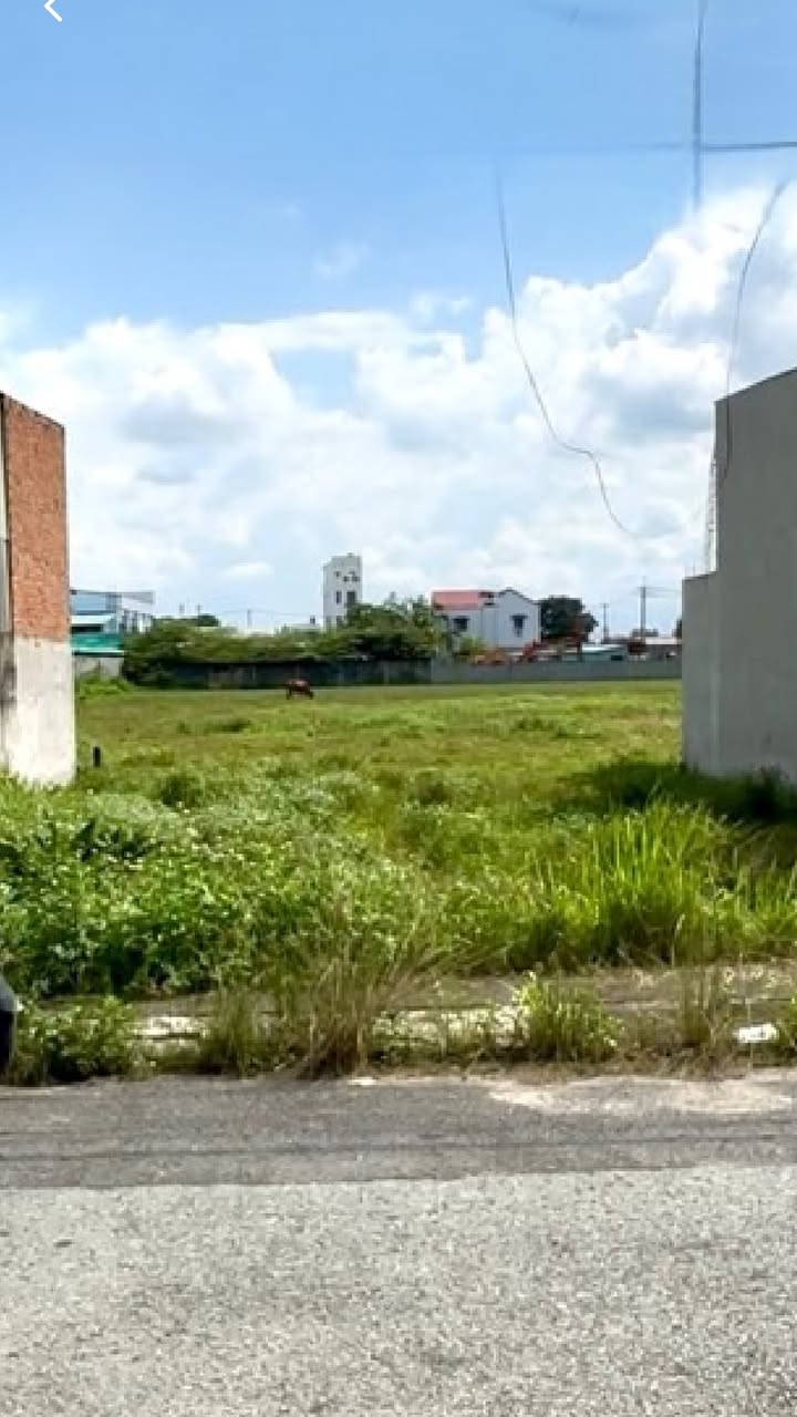 Đất thổ cư 172m² Hóc Môn giá chỉ 1 tỷ - Cơ hội đầu tư hấp dẫn!