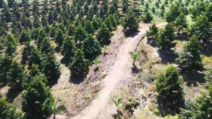 Đất vườn Phú Thịnh 3,2 hecta giá 792 triệu - Đầu tư sinh lời ngay!