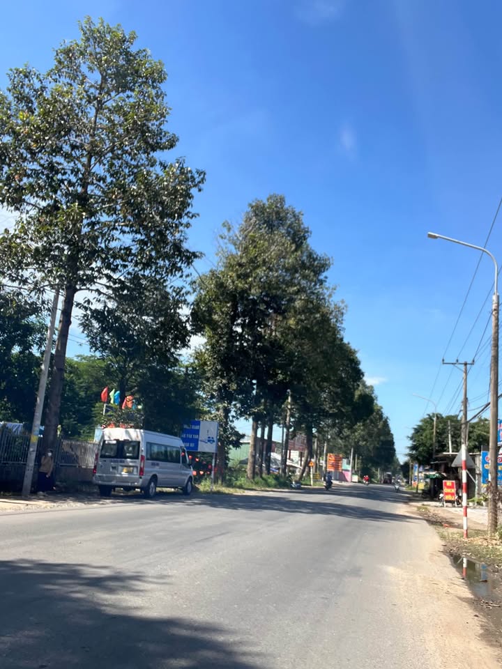 Đất mặt tiền đường Hắc Dịch - Tóc Tiên 250m² giá 1.413 tỷ - Đầu tư sinh lời ngay!