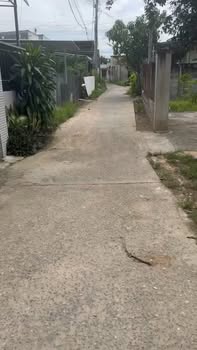 Nhà cấp 4 tại Thị Trấn Ma Lâm 125m² giá 1.1 tỷ - Dòng tiền ổn định!