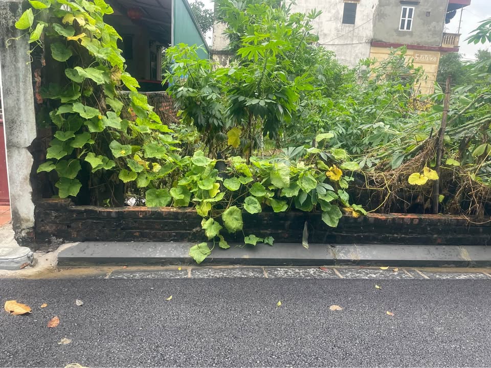 Đất Nam Hồng, Đông Anh 50.8m² giá 4 tỷ - Vị trí đẹp, đường ô tô vào tận đất!