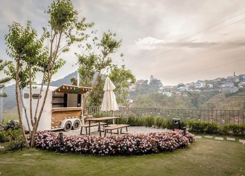 Lô đất 252m² Hoàng Hoa Thám, Đà Lạt - Giá 32 triệu/m² - View thông đẹp!