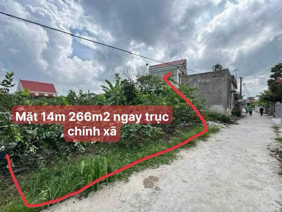 Đất nền xã Thanh Xuân, Thanh Hà 266m² - Cơ hội đầu tư hấp dẫn!