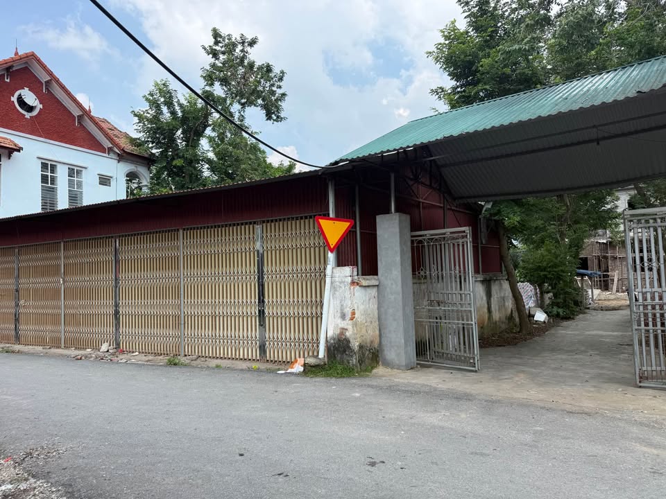 Đất nền tại Chợ Tam Quan, Tam Đảo 233m² giá 1.6 tỷ - Đầu tư sinh lời ngay!