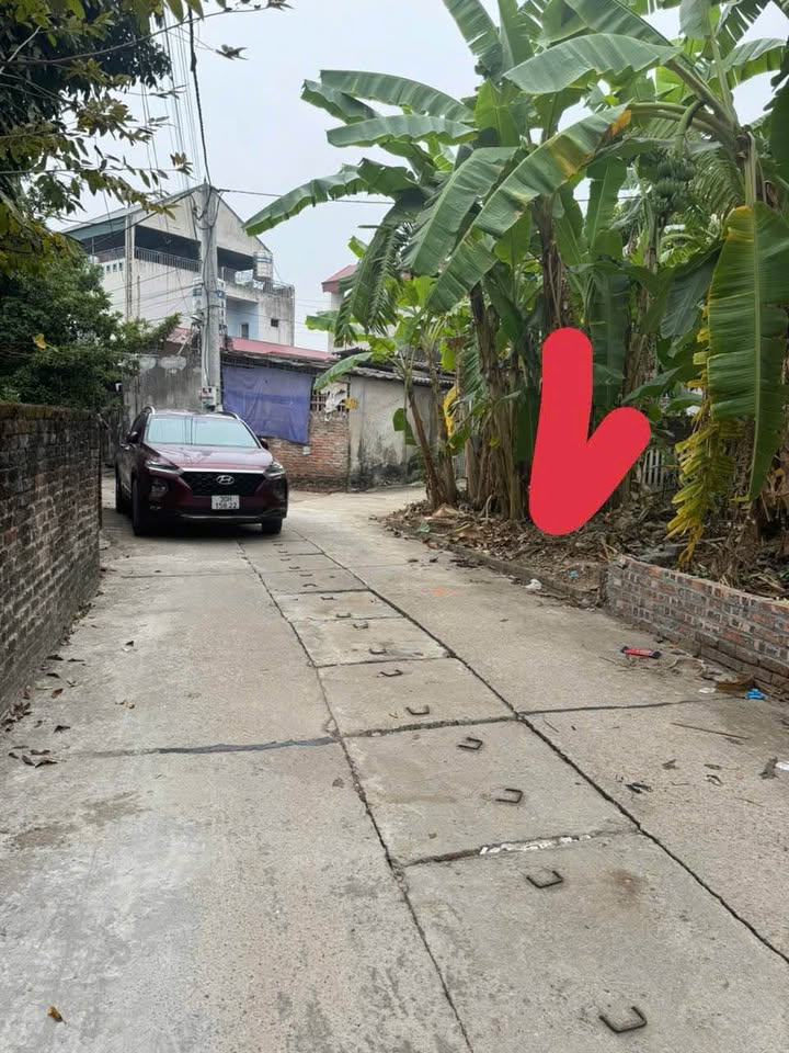 Đất nền lô góc 43m² tại Trạch Mỹ Lộc, Phúc Thọ - Giá chỉ 1,1 tỷ VND!