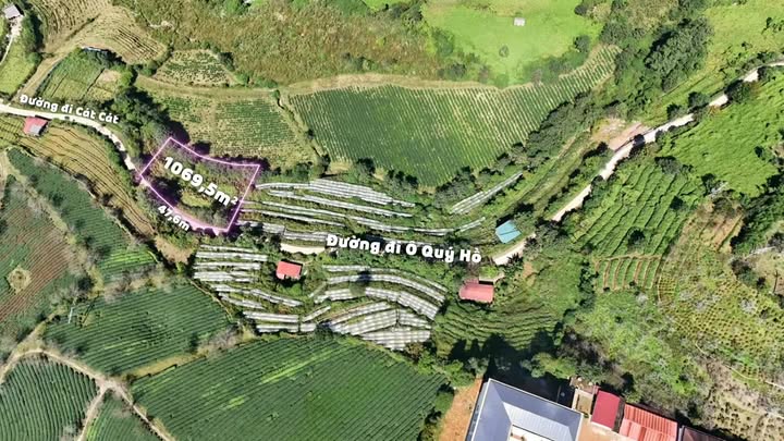 Lô đất Ô Quý Hồ 1.096m² giá 2.2 tỷ - View đồi chè Ô Long hấp dẫn!