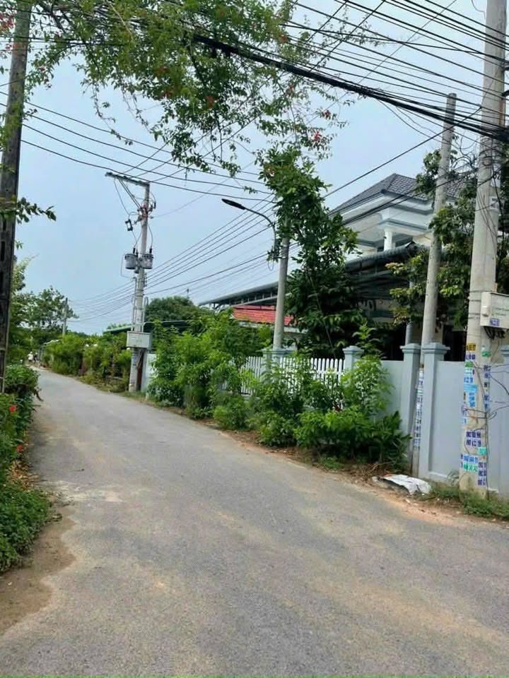 Đất thổ cư 250m² Long Tân Dầu Tiếng giá 800 triệu - Đầu tư sinh lời ngay!