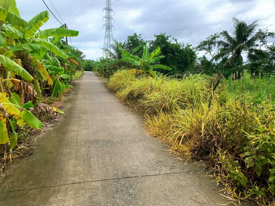 Đất vườn Tân Nhựt 1000m² giá 3.65 tỷ - Chính chủ, đầu tư sinh lời!