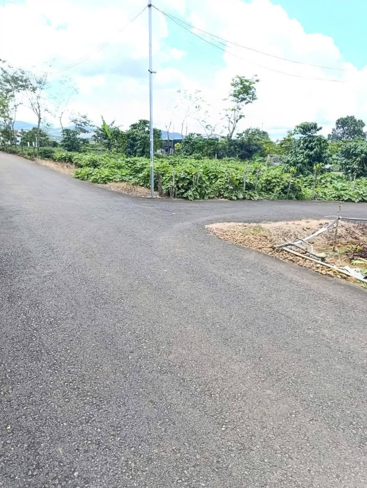 Đất thổ cư Hẻm 135 Nguyễn Tri Phương, Bảo Lộc 105m² - Giá 2.93 tỷ, thương lượng!