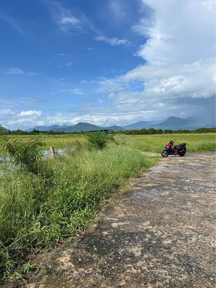 Đất nền Cam Thành Bắc Cam Lâm 5000m² giá thỏa thuận - Mặt tiền đường 60m!