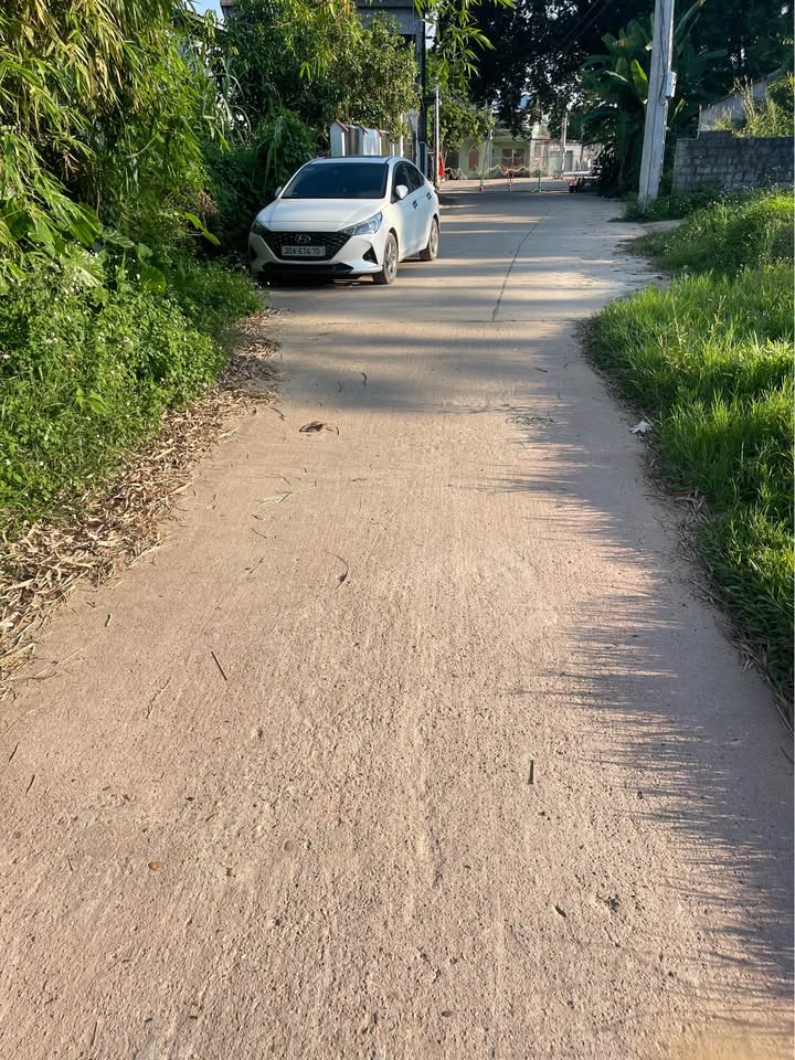 Đất thổ cư Tân Kim - Phú Bình 250m² giá chỉ 500 triệu - Cơ hội đầu tư sinh lời!