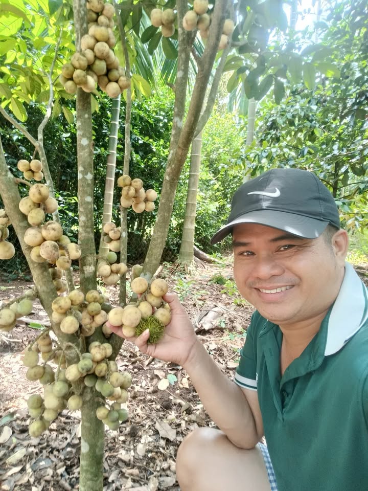 Đất thổ cư Ea Hu, Cư Kuin 1125m² giá 699 triệu - Sổ đỏ chính chủ, tách được 2 bìa!