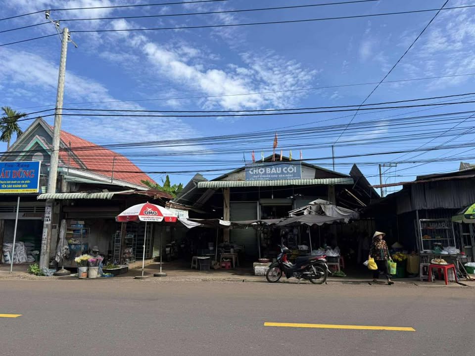 Đất nền Bảo Vinh, Long Khánh 216m² giá 980 triệu - Đầu tư sinh lời bền vững!