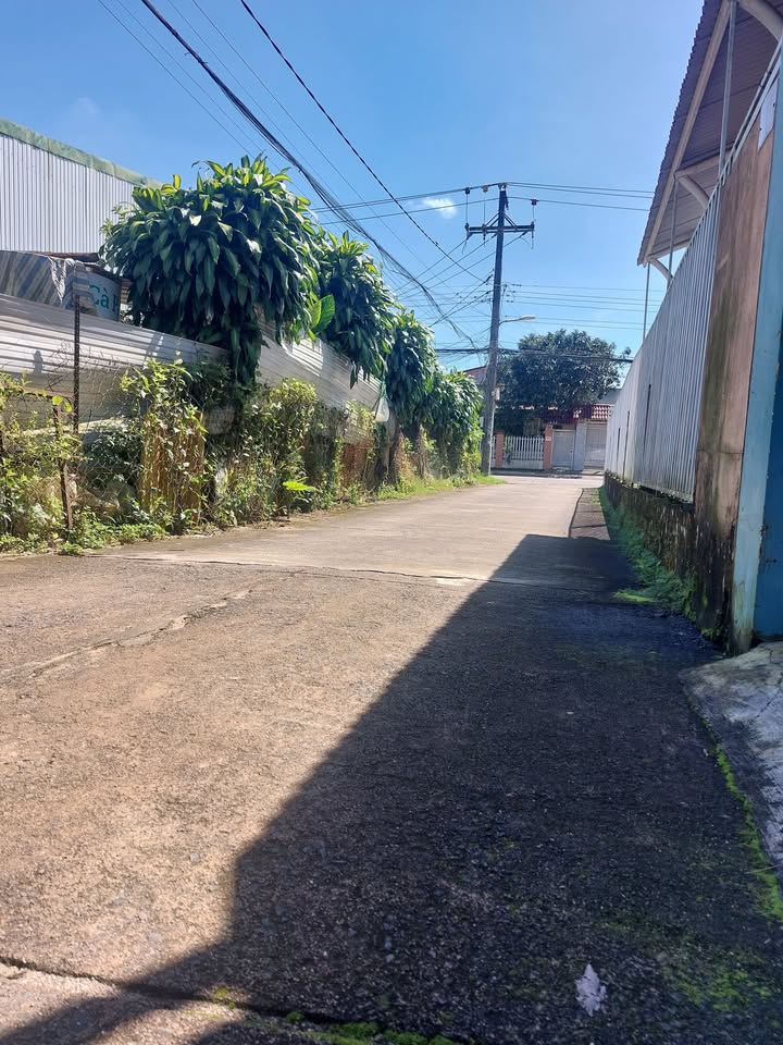 Đất trung tâm Bảo Lộc 126m² giá 2.45 tỷ - Vị trí đắc địa, sổ đỏ chính chủ!