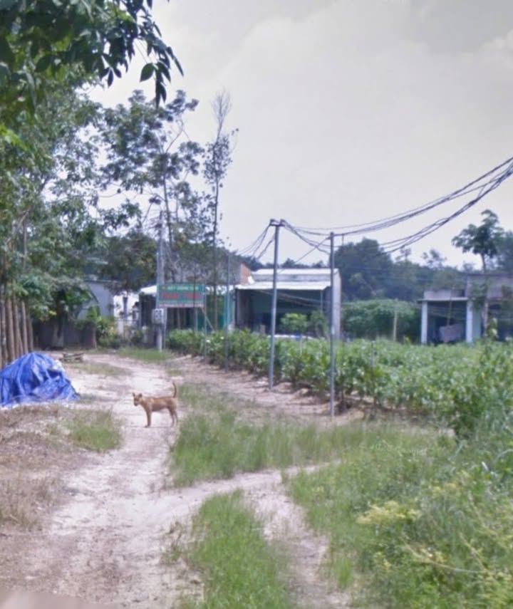 Đất thổ cư Hòa Lợi, Bến Cát 470m² giá chỉ 2.7 tỷ - Đối diện chợ Nhật Huy!