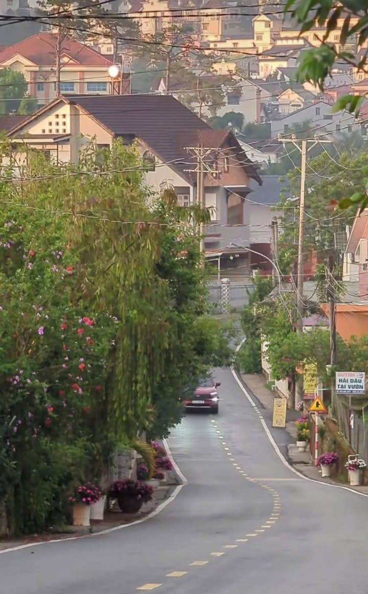 Đất nền Đà Lạt 144m² giá 8.9 tỷ - Cách Hồ Xuân Hương chỉ 500m!