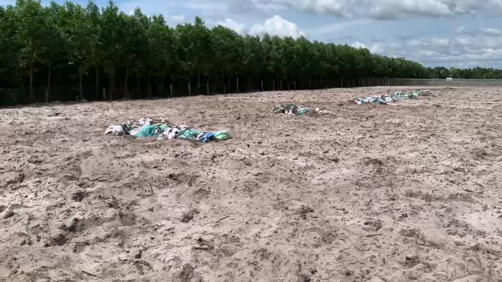 Đất trồng cây lâu năm 11.315m² tại Láng Dài, Đất Đỏ - Tiềm năng sinh lời vượt trội!