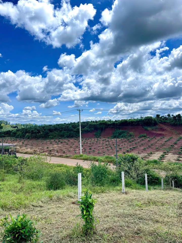 Đất nền 2 mặt tiền đường Nguyễn Huệ, Lộc Quảng, 205m² - Giá siêu ngộp chỉ trong 20 ngày!