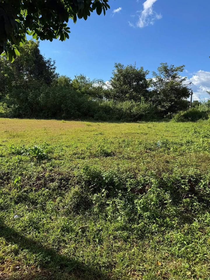 Đất nền 2 mặt tiền Hẻm 144 Âu, Pleiku 200m² giá 300 triệu - Sổ đỏ chính chủ!