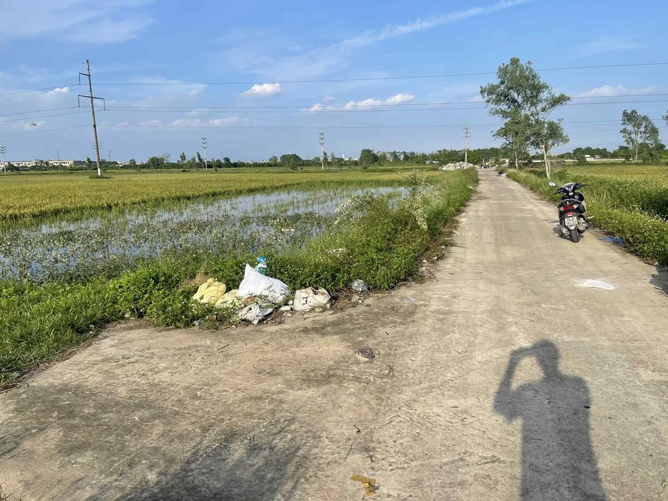 Đất ruộng Kim Thư - Thanh Oai 8280m² giá thỏa thuận - Cơ hội đầu tư hấp dẫn!