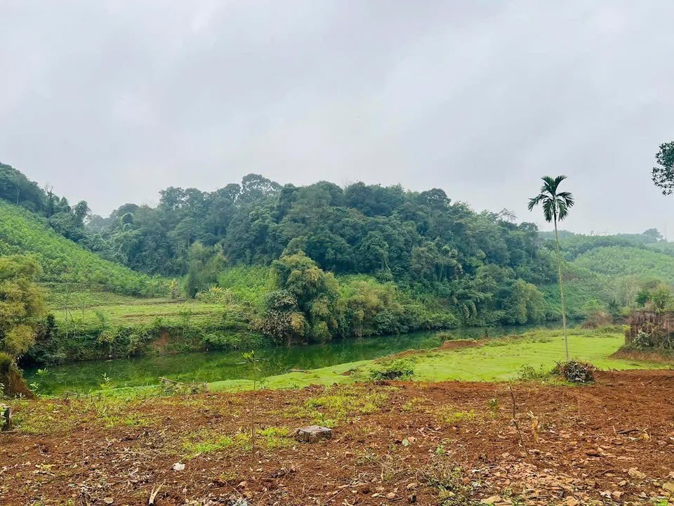 Đất thổ cư tại xã Xuất Hóa, Lạc Sơn, Hòa Bình - Diện tích 770m², giá chỉ từ 600 triệu!