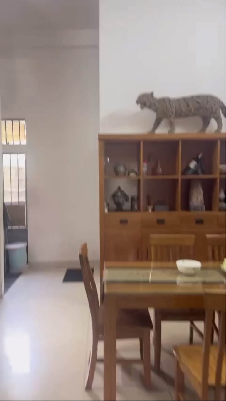 Nhà 3 tầng mặt tiền Dũng Sĩ Thanh Khê 100m² giá chỉ 8 tỷ - Cơ hội đầu tư tuyệt vời!