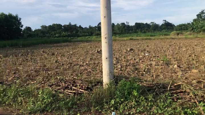 Đất nền Láng Lớn Châu Đức 1232m² giá 1.95 tỷ - Cơ hội đầu tư sinh lời!