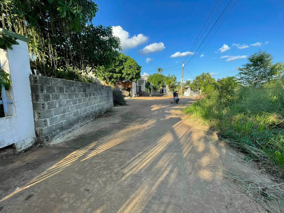 Đất nền Tân Lập Buôn Ma Thuột 115m² giá 1.02 tỷ - Đầu tư sinh lời ngay!