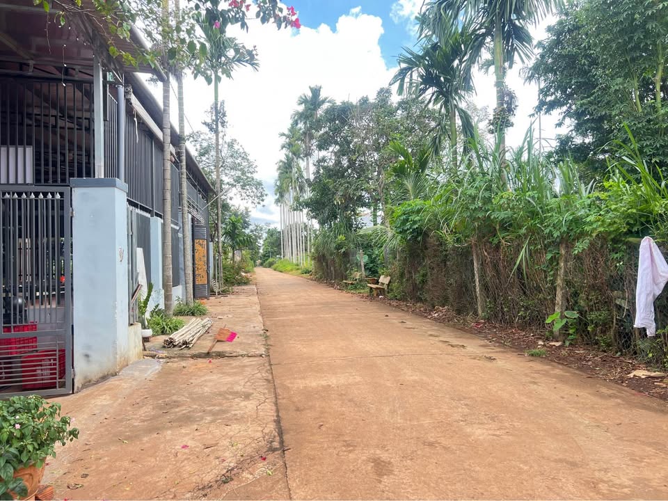 Đất nền Tân An Buôn Ma Thuột 125m² giá 1.25 tỷ - Pháp lý rõ ràng, đầu tư sinh lời cao!