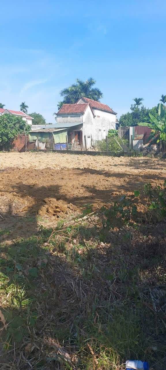 Đất vườn Nghĩa Dõng Quảng Ngãi 700m² giá 1.3 tỷ - Cơ hội đầu tư hấp dẫn!