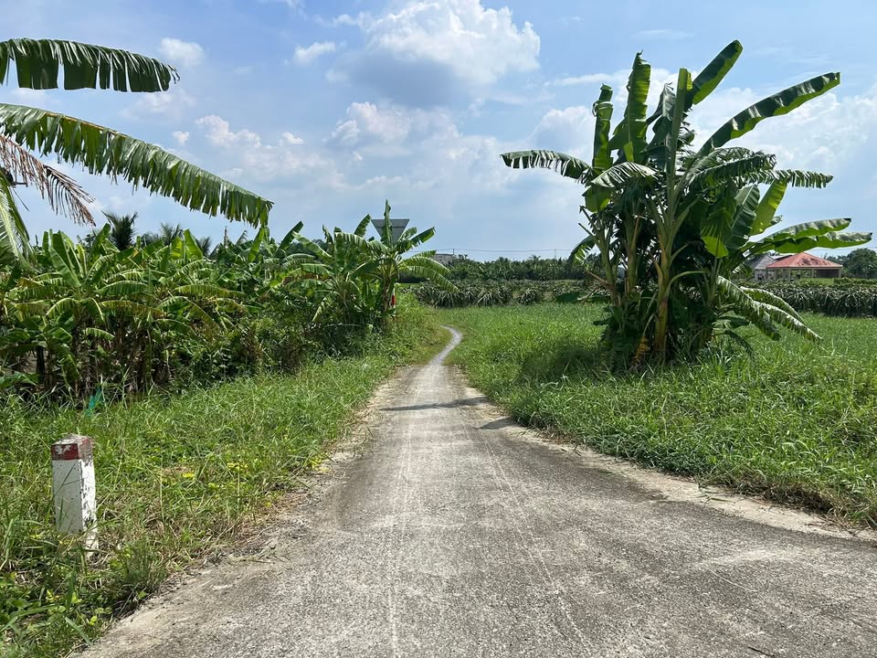 Đất nền An Vĩnh Ngãi, Tân An 2000m² giá 1.3 tỷ - Đầu tư sinh lời ngay!