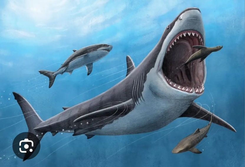 Kho xưởng 1ha tại Long Thành, Đồng Nai giá 130 tỷ - Đường xe container thuận tiện!