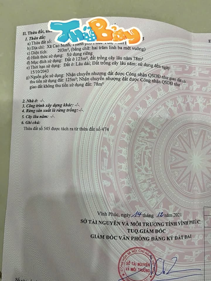 Đất thổ cư 203m² tại Cao Minh, Phúc Yên chỉ 2.436 tỷ - Sổ hồng chính chủ!